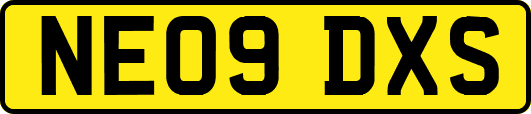 NE09DXS