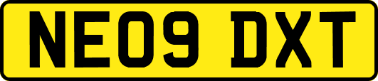 NE09DXT