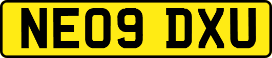 NE09DXU