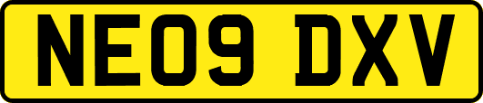 NE09DXV