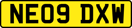 NE09DXW