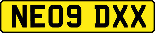 NE09DXX