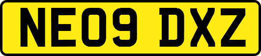 NE09DXZ