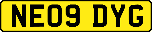 NE09DYG