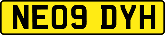 NE09DYH