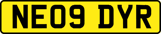 NE09DYR