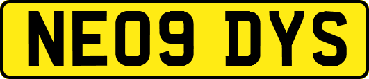 NE09DYS