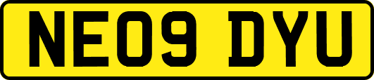 NE09DYU