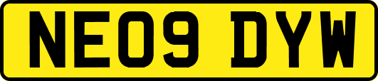 NE09DYW