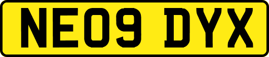 NE09DYX
