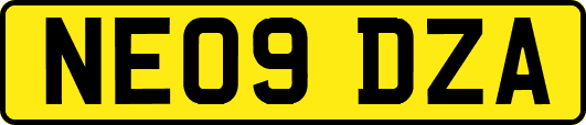 NE09DZA