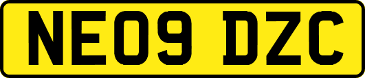 NE09DZC