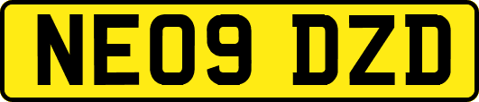 NE09DZD