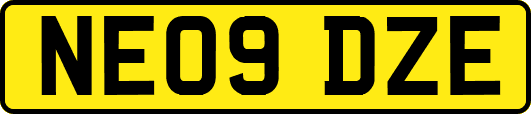 NE09DZE