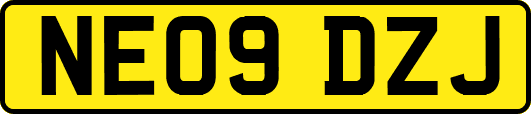 NE09DZJ