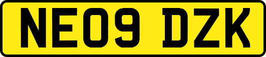 NE09DZK