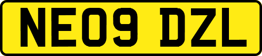 NE09DZL