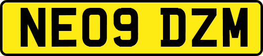 NE09DZM