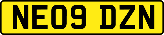 NE09DZN