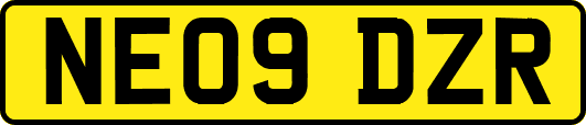 NE09DZR