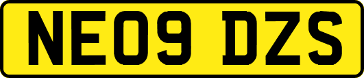 NE09DZS