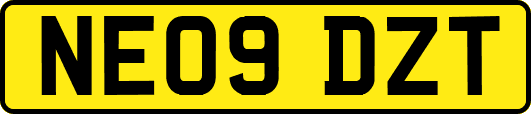 NE09DZT