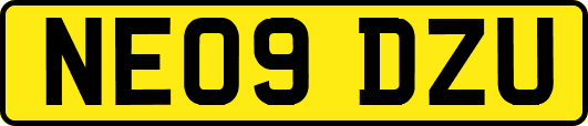NE09DZU