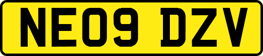 NE09DZV