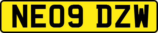 NE09DZW