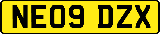 NE09DZX
