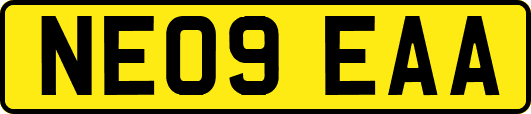 NE09EAA
