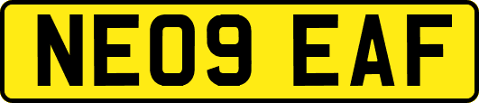 NE09EAF