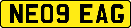 NE09EAG