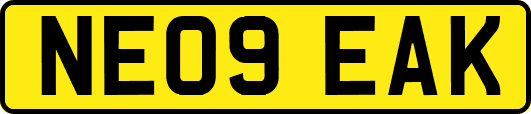 NE09EAK