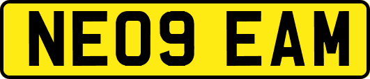 NE09EAM