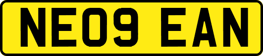 NE09EAN