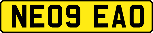 NE09EAO