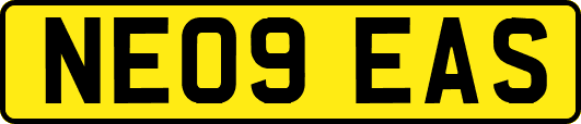 NE09EAS