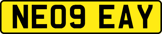 NE09EAY