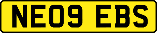 NE09EBS