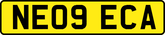 NE09ECA