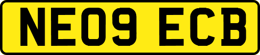 NE09ECB