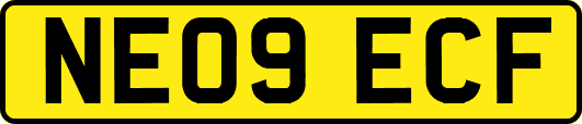 NE09ECF