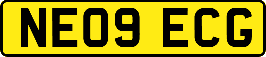 NE09ECG