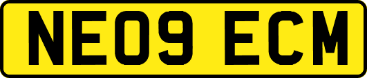 NE09ECM