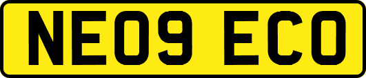 NE09ECO