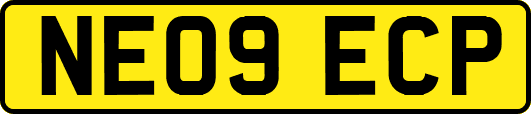 NE09ECP