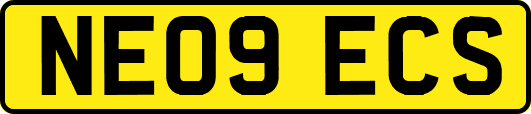 NE09ECS