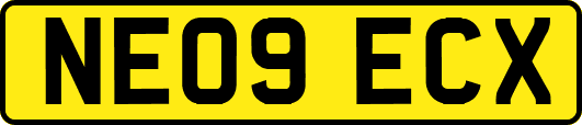 NE09ECX