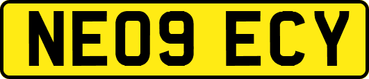 NE09ECY